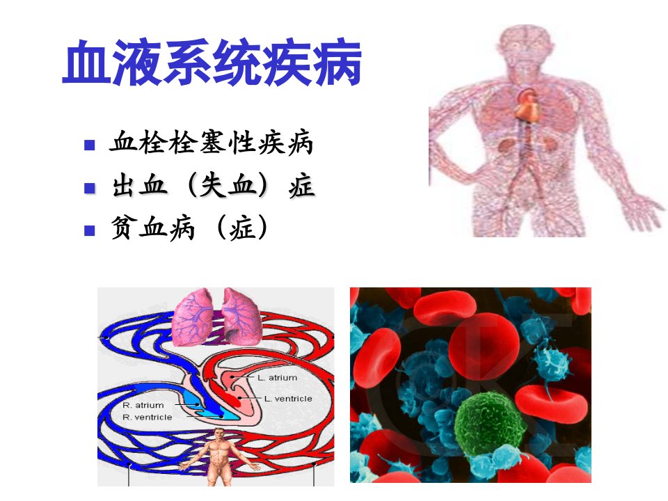 药理学PPT课件作用于血液及造血系统的药物