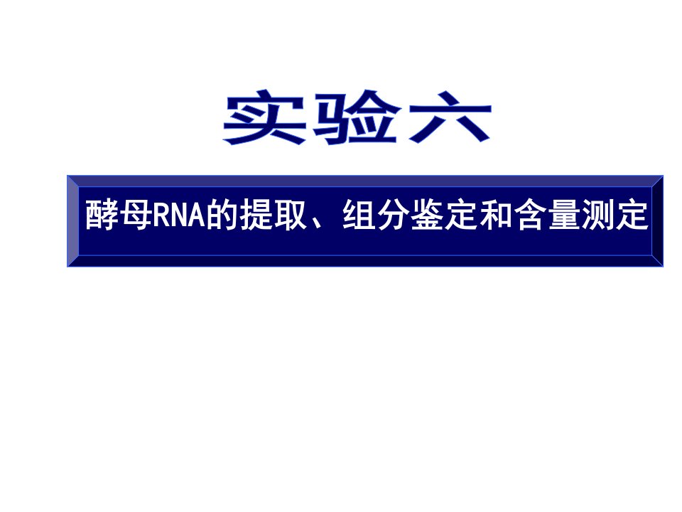 酵母RNA的提取、组分鉴定和含量测定