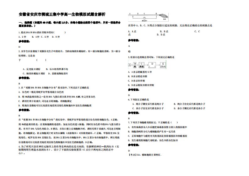 安徽省安庆市桐城王集中学高一生物模拟试题含解析