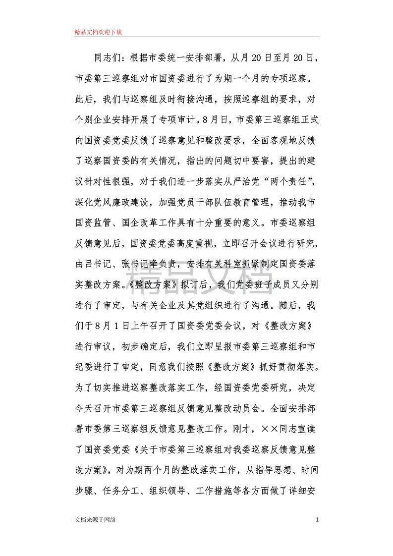 关于落实做好国资委党委《整改方案》工作的讲话