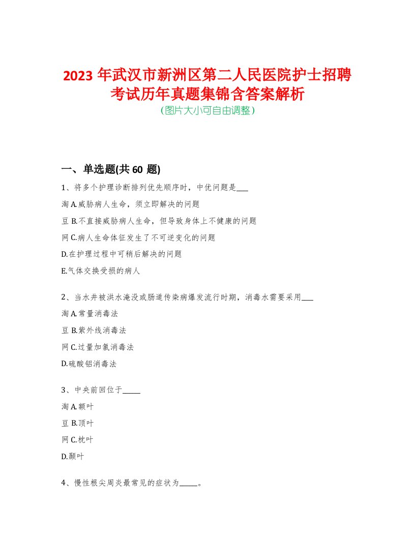 2023年武汉市新洲区第二人民医院护士招聘考试历年真题集锦含答案解析