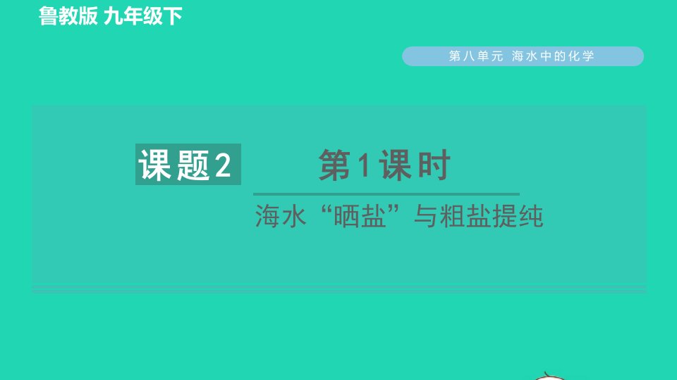 2022九年级化学下册第8单元海水中的化学8.2海水晒盐第1课时海水晒盐与粗盐提纯习题课件鲁教版