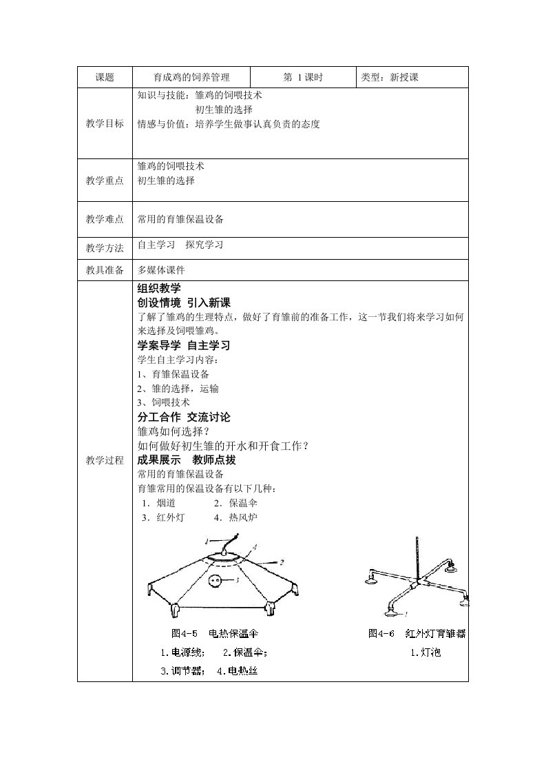 育成鸡的饲养管理