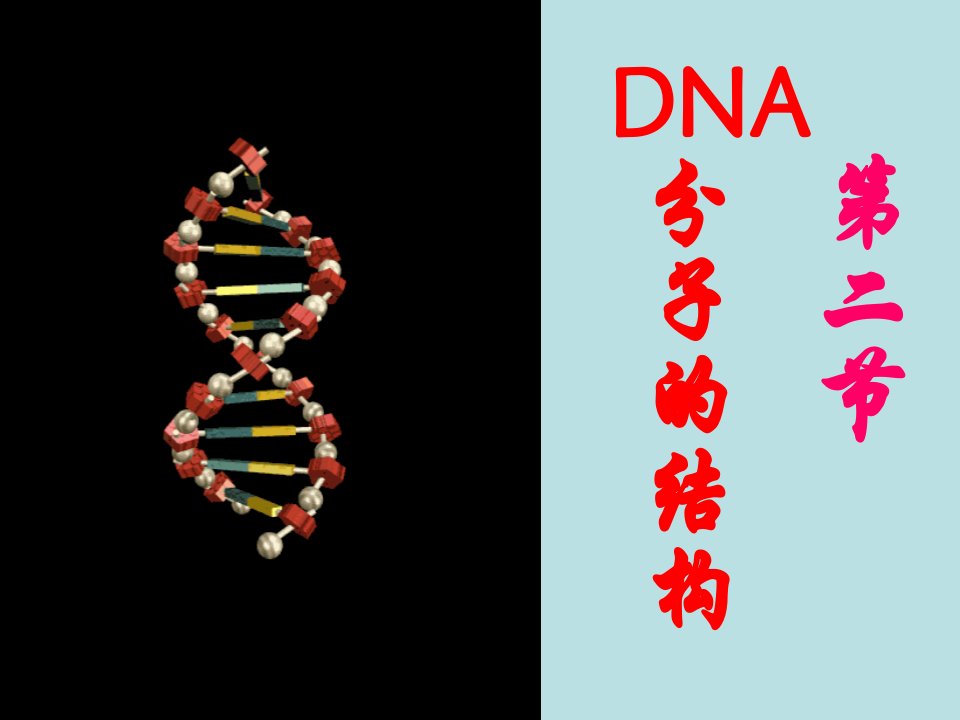 人教版教学课件DNA分子的结构课件