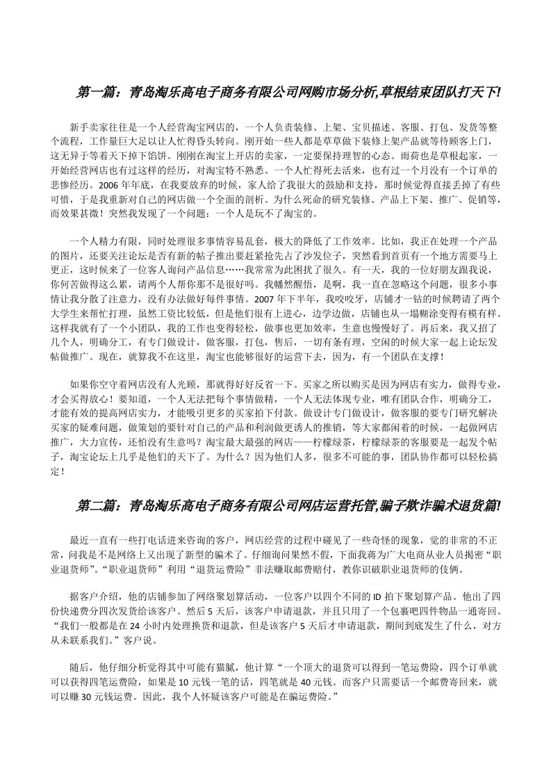 青岛淘乐高电子商务有限公司网购市场分析,草根结束团队打天下![修改版]