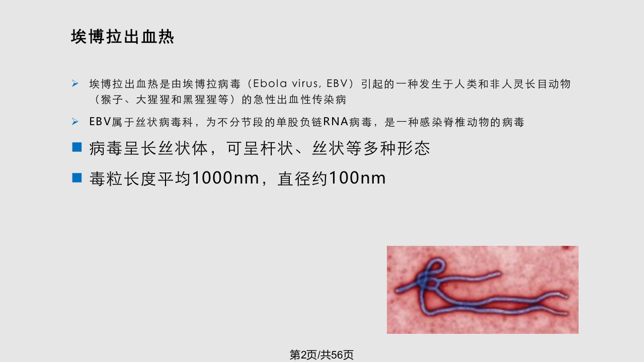 月日埃博拉出血热防控含防控及诊疗方案