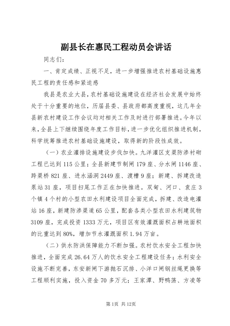 副县长在惠民工程动员会致辞