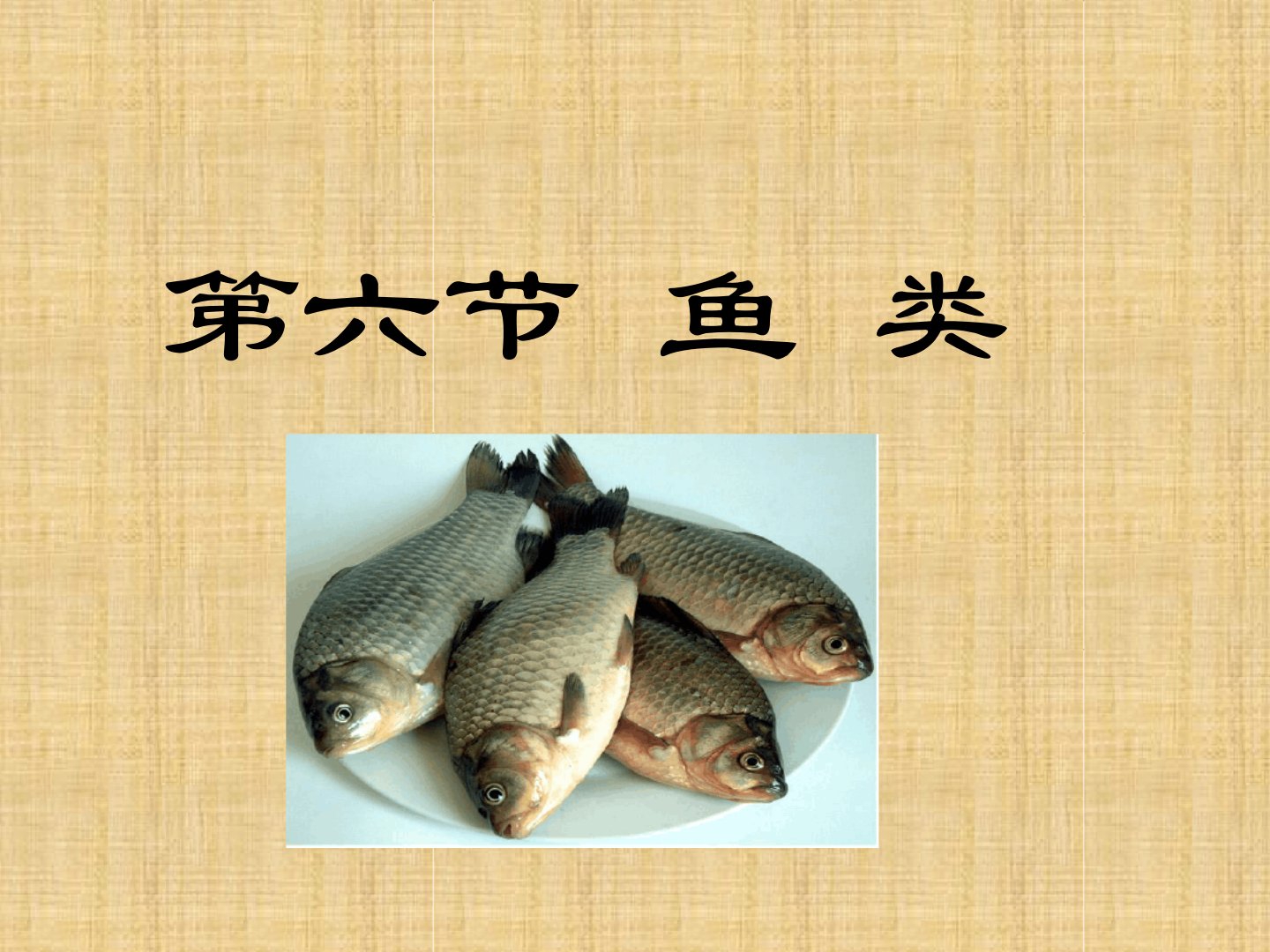 初中七年级生物上册