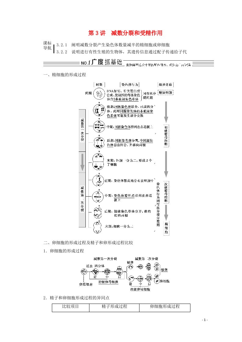 2022年高考生物一轮复习第四单元细胞的生命历程第3讲减数分裂和受精作用学案新人教版必修1