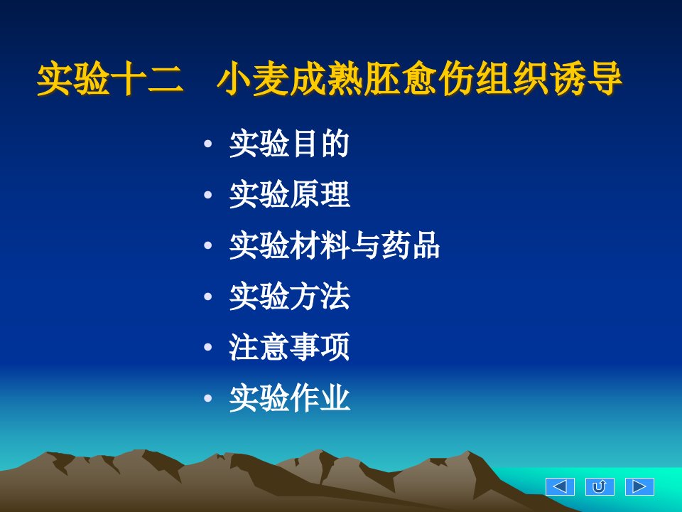 实验12小麦成熟胚愈伤组织诱导