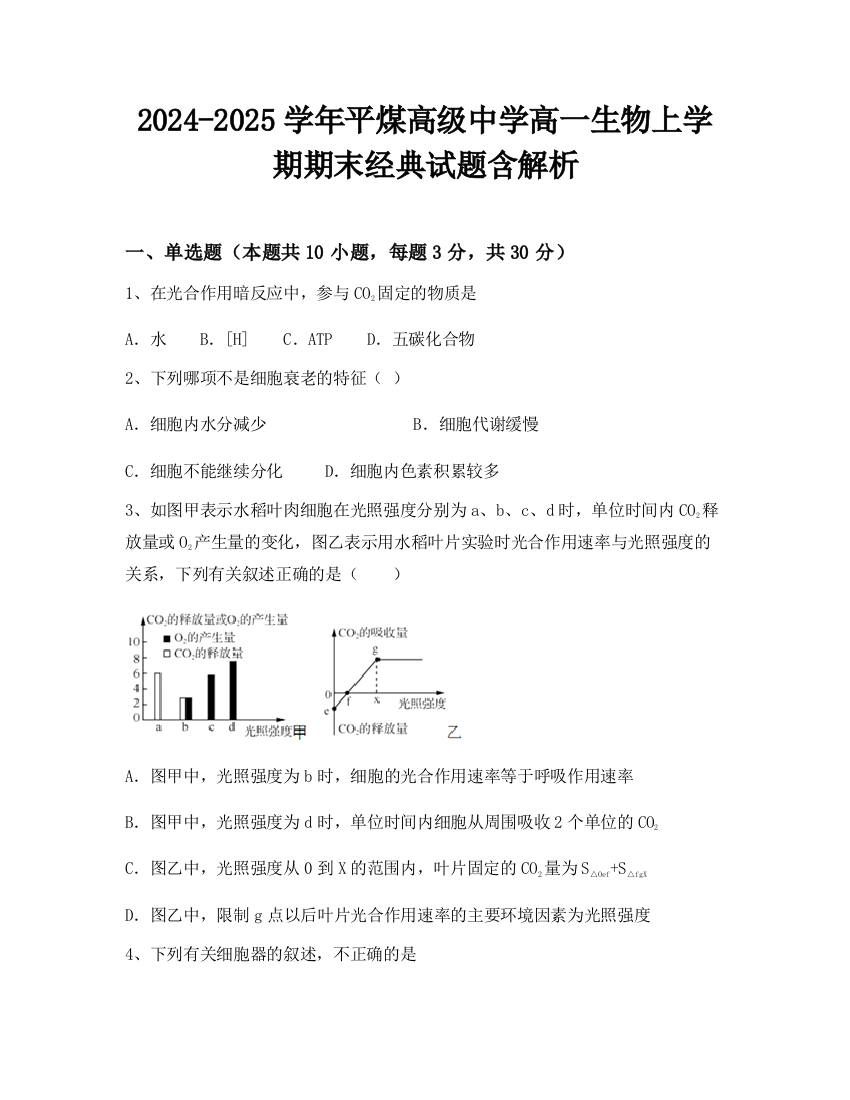 2024-2025学年平煤高级中学高一生物上学期期末经典试题含解析