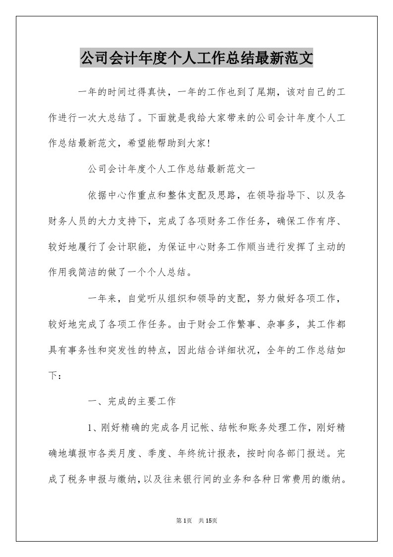 公司会计年度个人工作总结最新范文