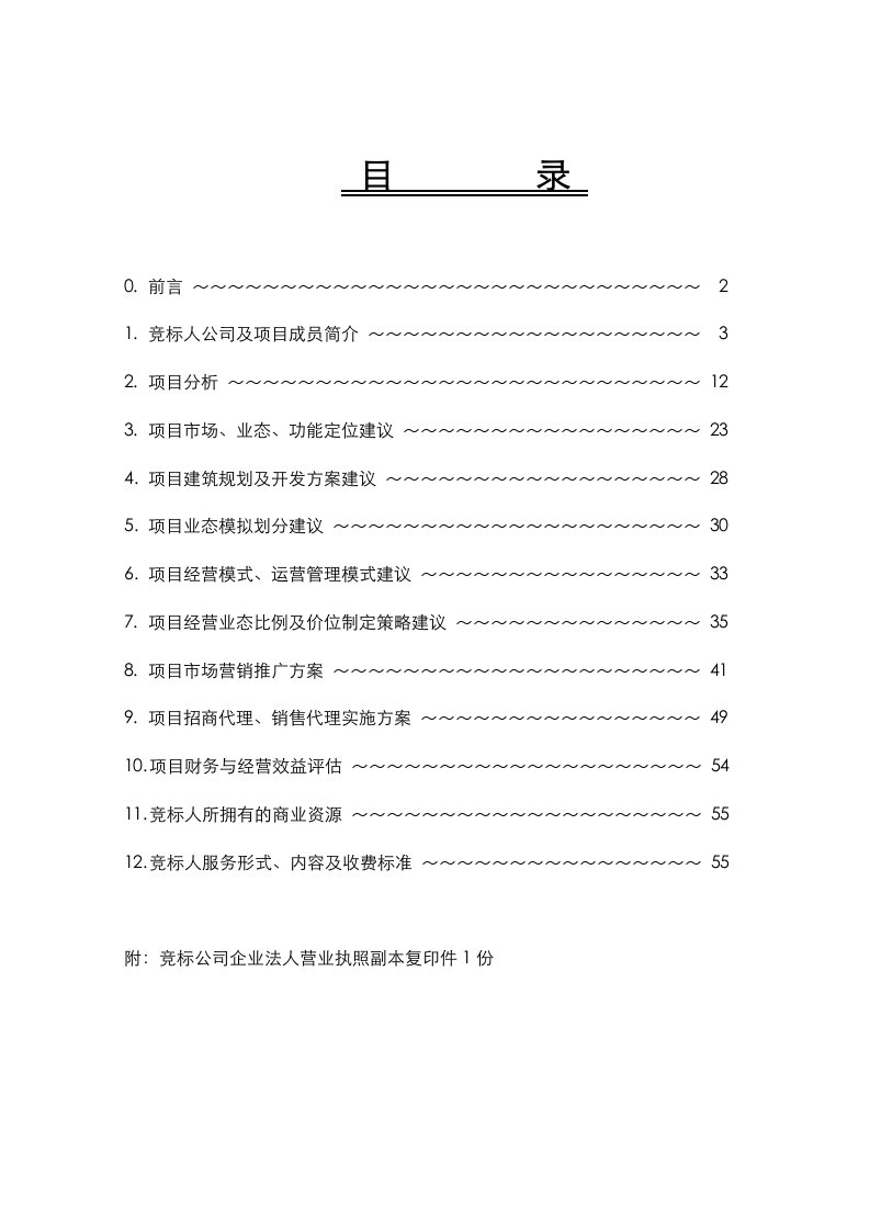 招商策划-吉林市中心商业区大型商业MAII商业策划招商销售管理运营代理竞标文件jionns