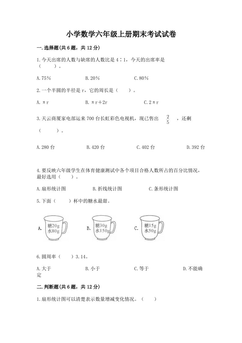 小学数学六年级上册期末考试试卷（夺冠）word版