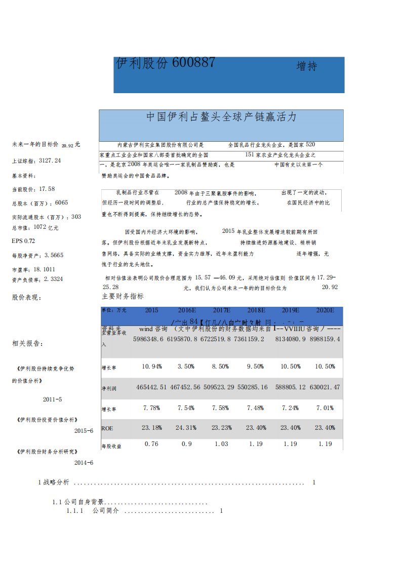 伊利集团财务报表分析报告