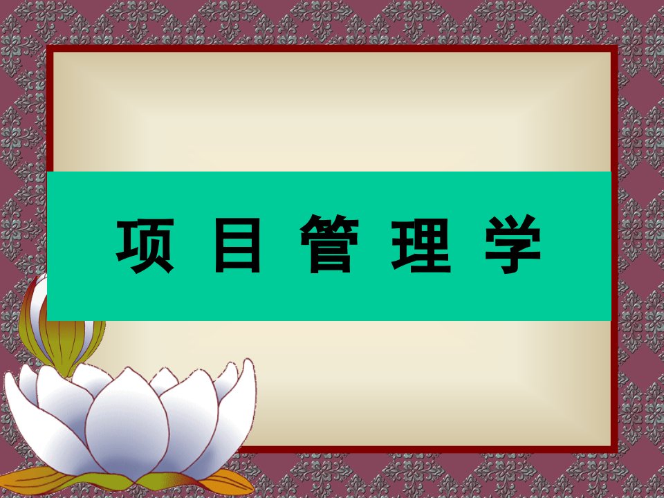 戚安邦项目管理学第二版课件简本精讲