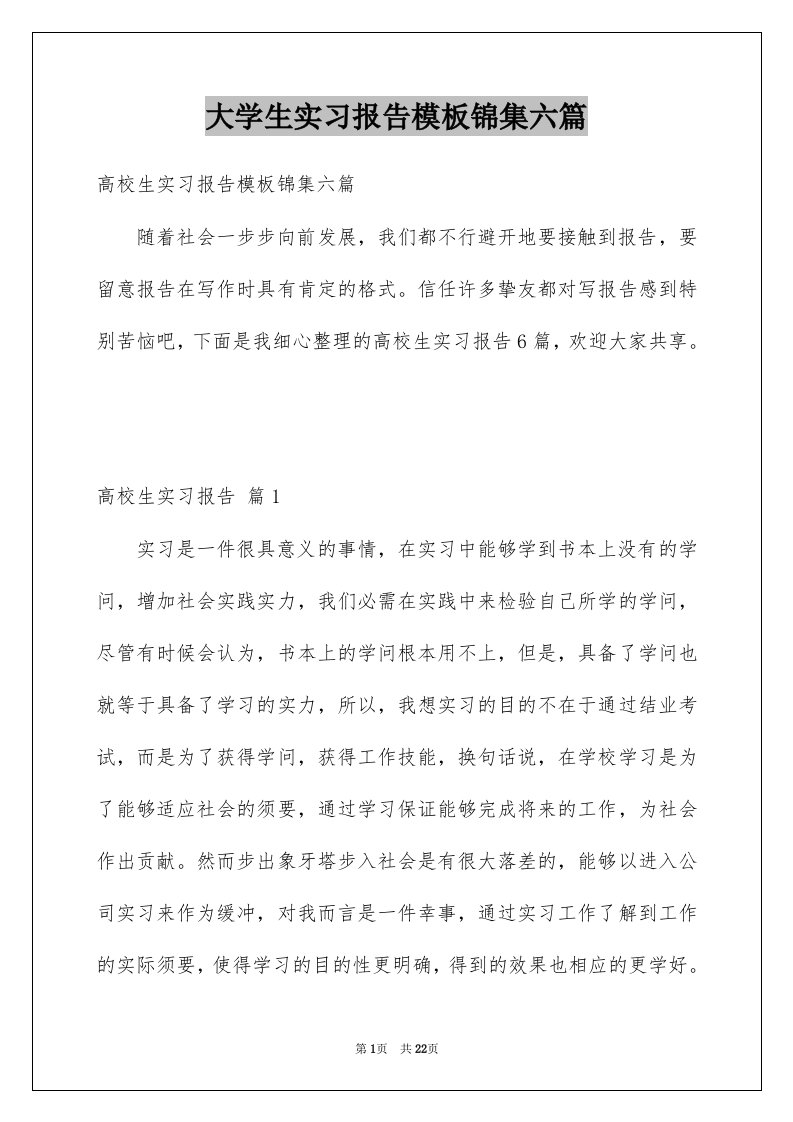 大学生实习报告模板锦集六篇例文