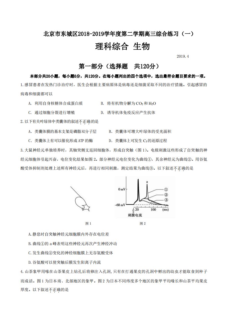 2019年北京市东城区高三一模生物试卷及答案