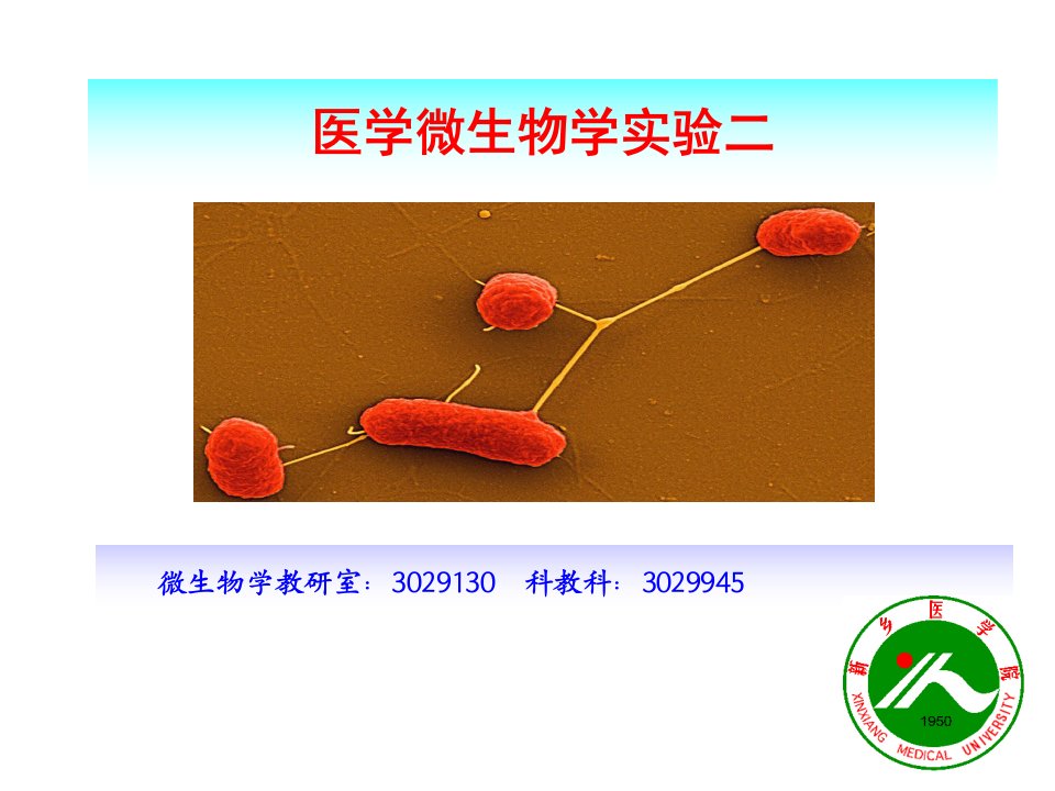 医学微生物学实验二抗酸染