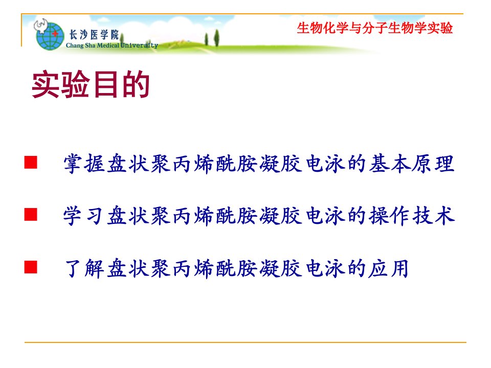 实验三聚丙烯酰胺凝胶电泳分离血清蛋白质