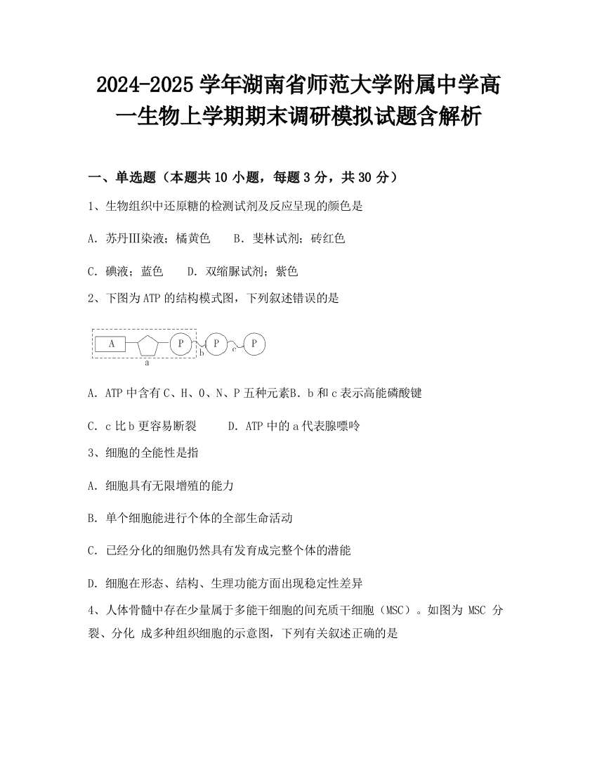 2024-2025学年湖南省师范大学附属中学高一生物上学期期末调研模拟试题含解析