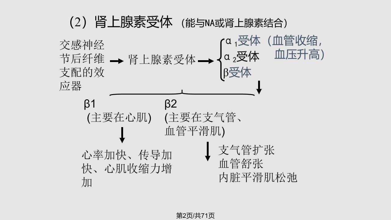 药理学小结学习