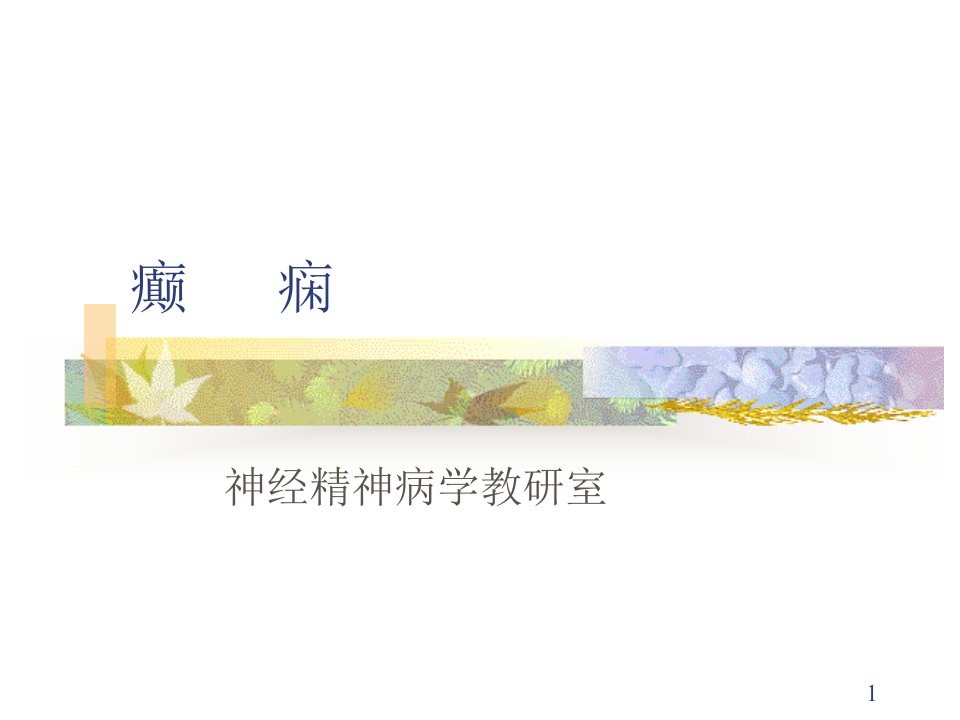 癫痫医师考试需要的复习课件PPT