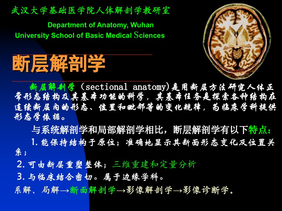 断层解剖学课件1断层头部