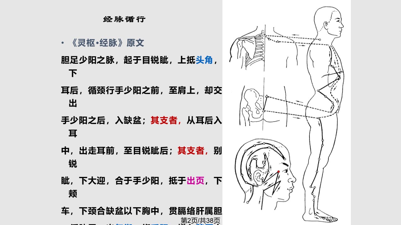 足少阳胆经剖析