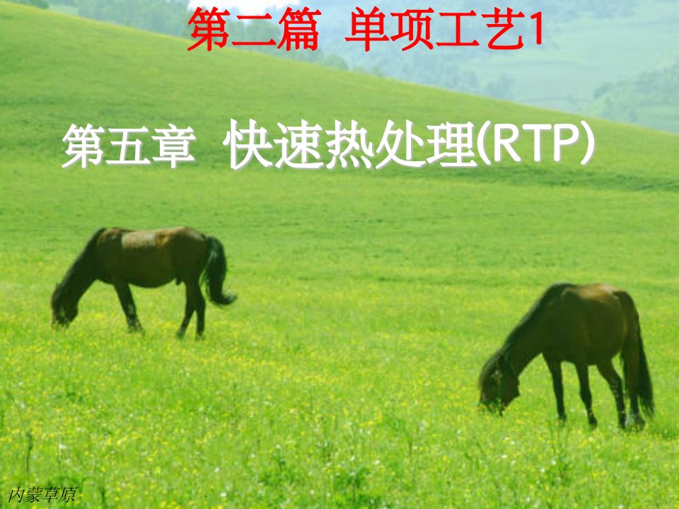 《快速热处理》PPT课件