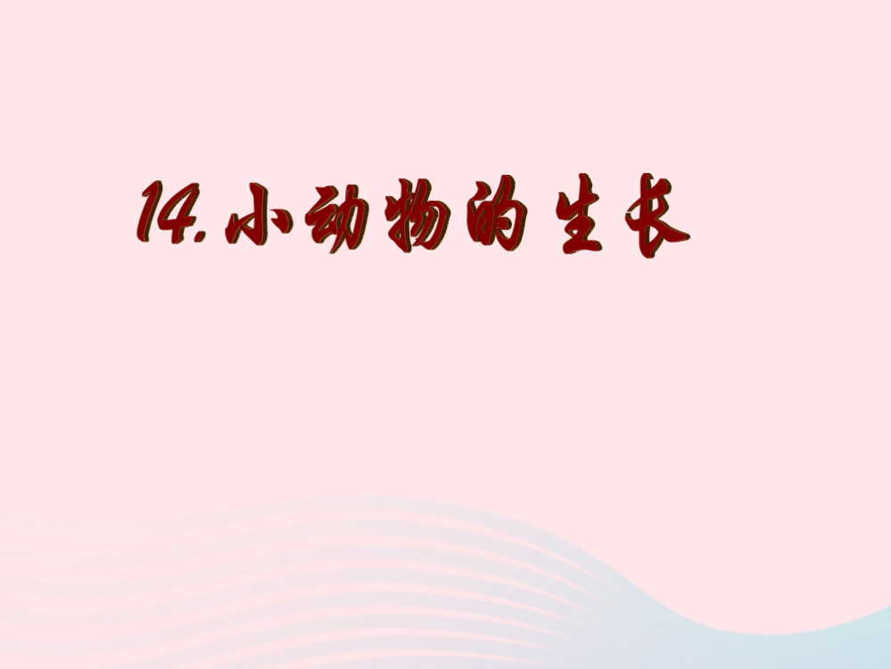 四年级科学下册