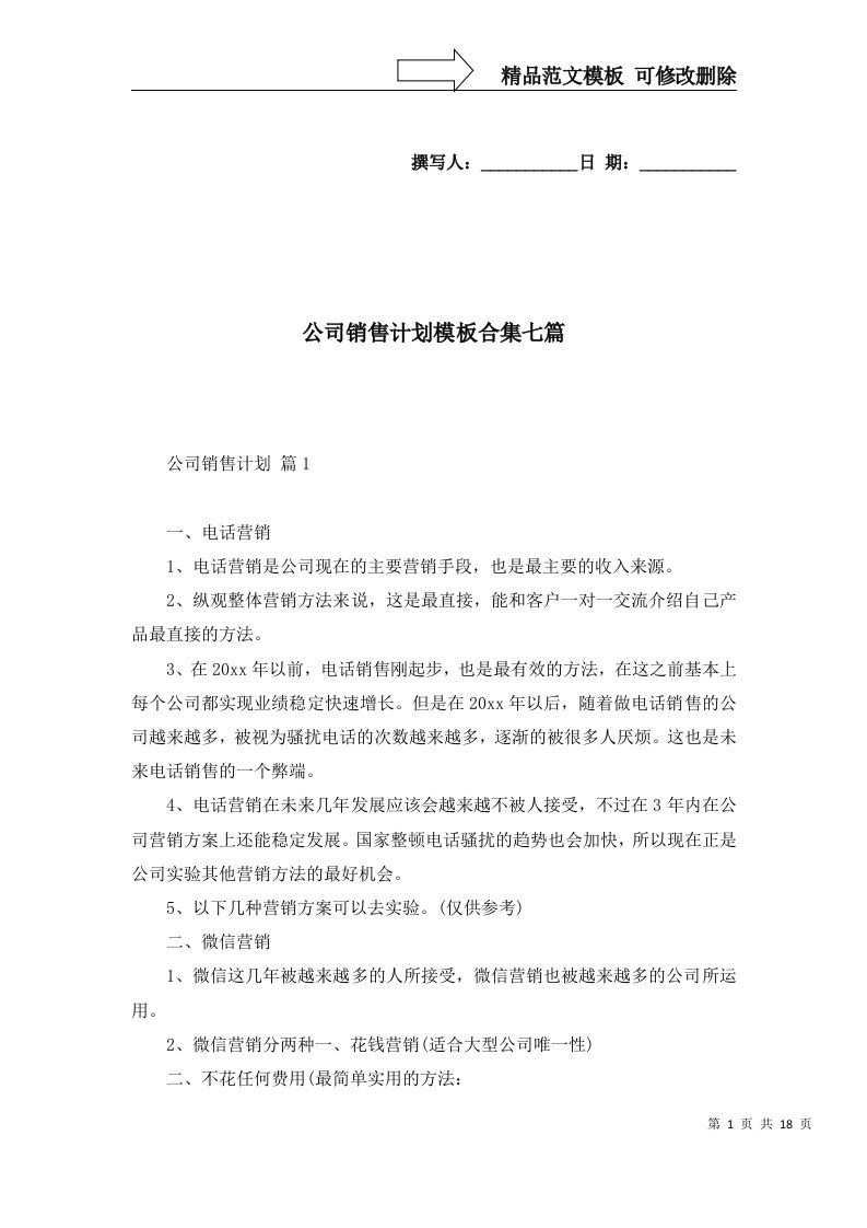 公司销售计划模板合集七篇一