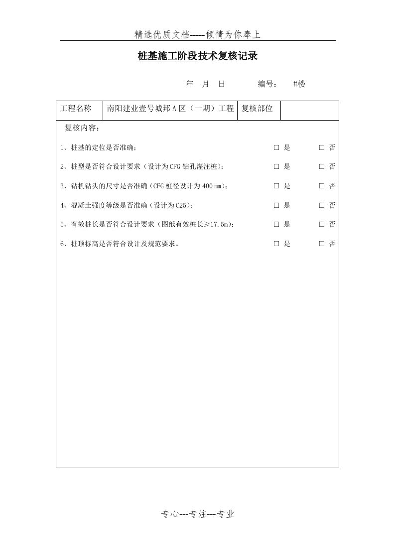 技术复核记录表---简化(共10页)