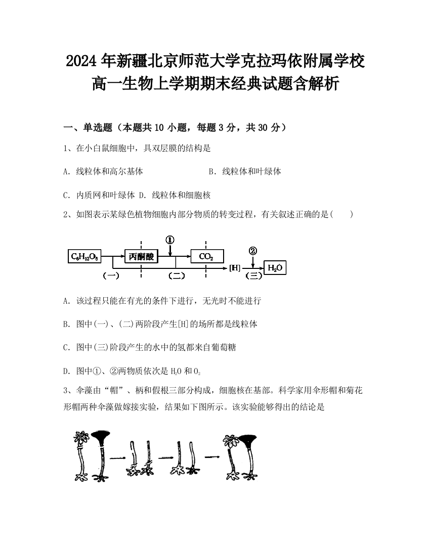 2024年新疆北京师范大学克拉玛依附属学校高一生物上学期期末经典试题含解析