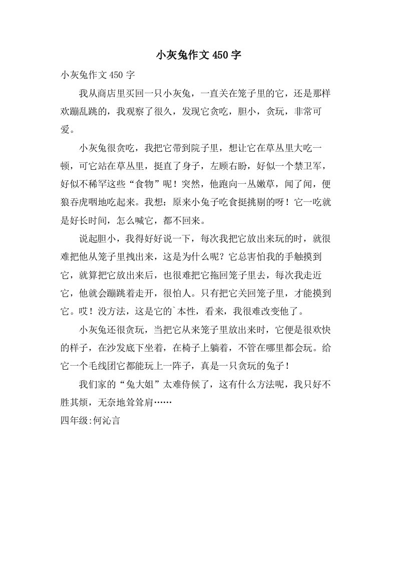 小灰兔作文450字