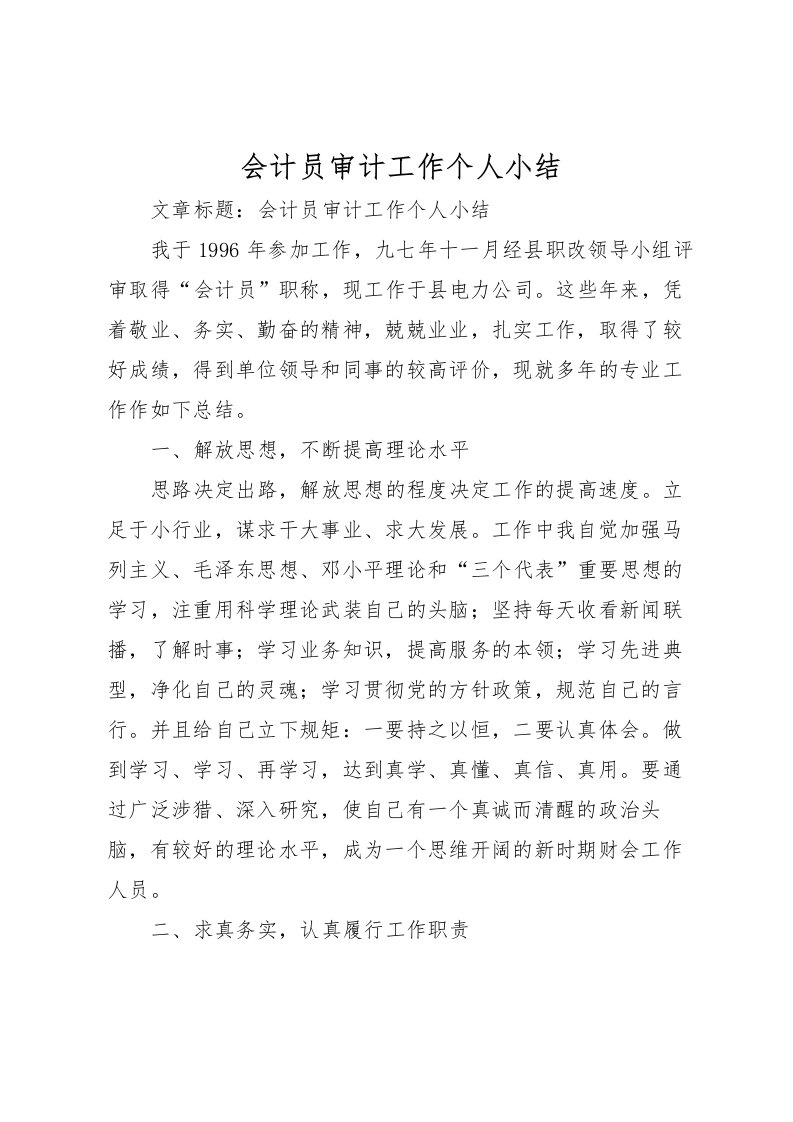 2022会计员审计工作个人小结