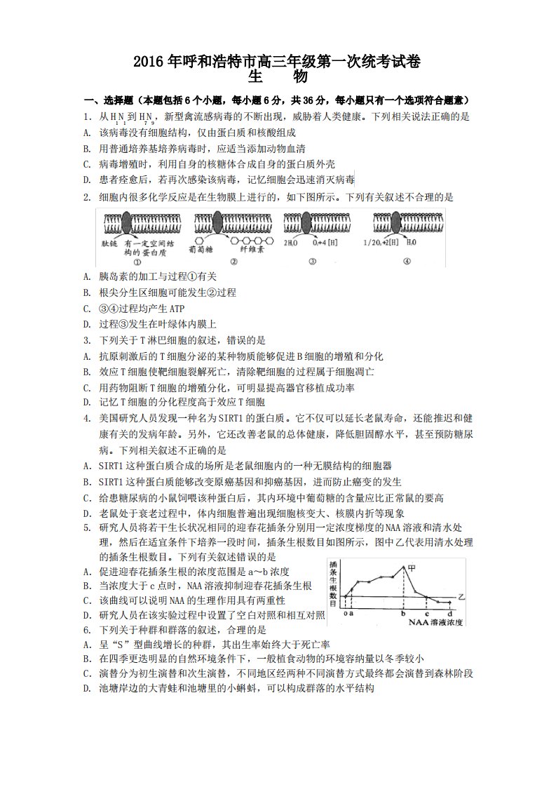 呼和浩特市高三年级第一次统考生物试卷