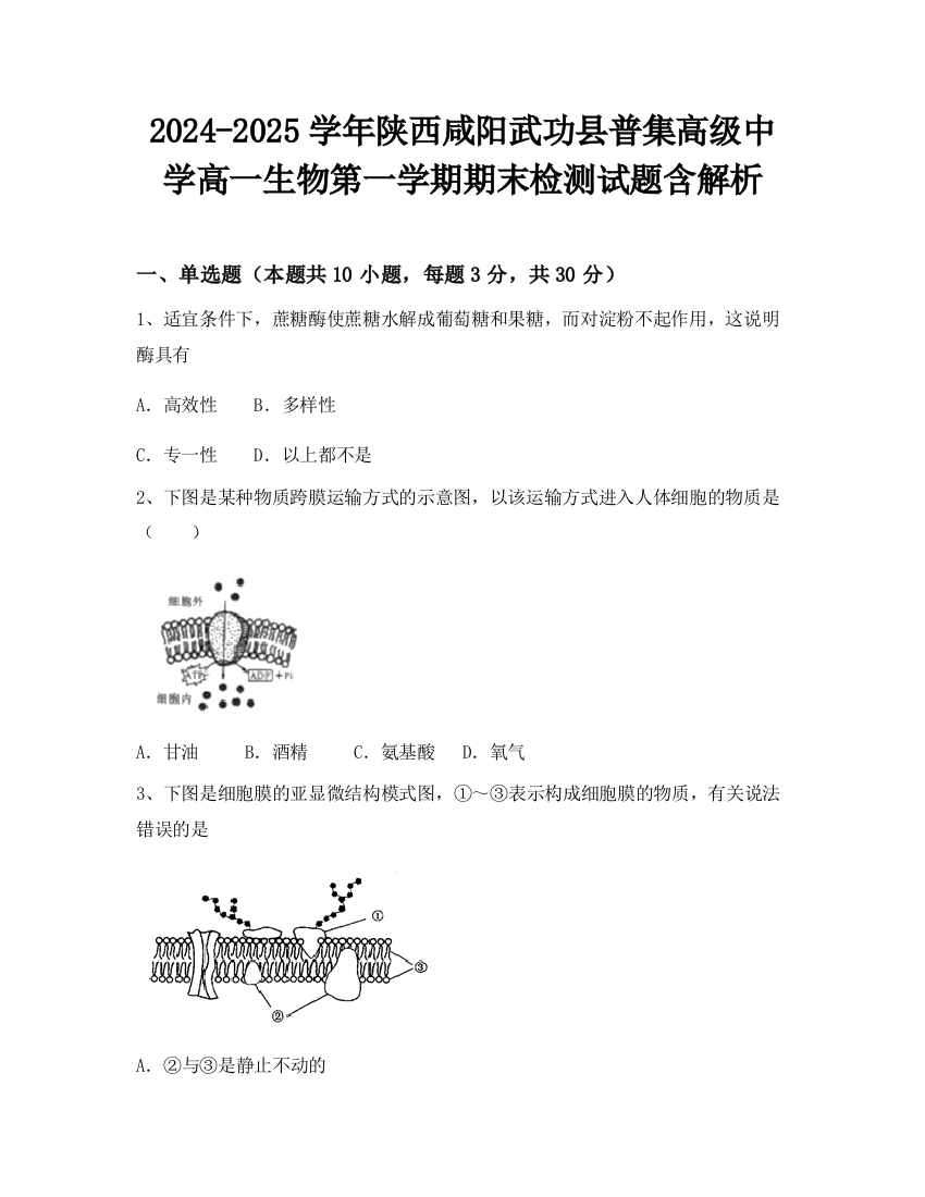 2024-2025学年陕西咸阳武功县普集高级中学高一生物第一学期期末检测试题含解析