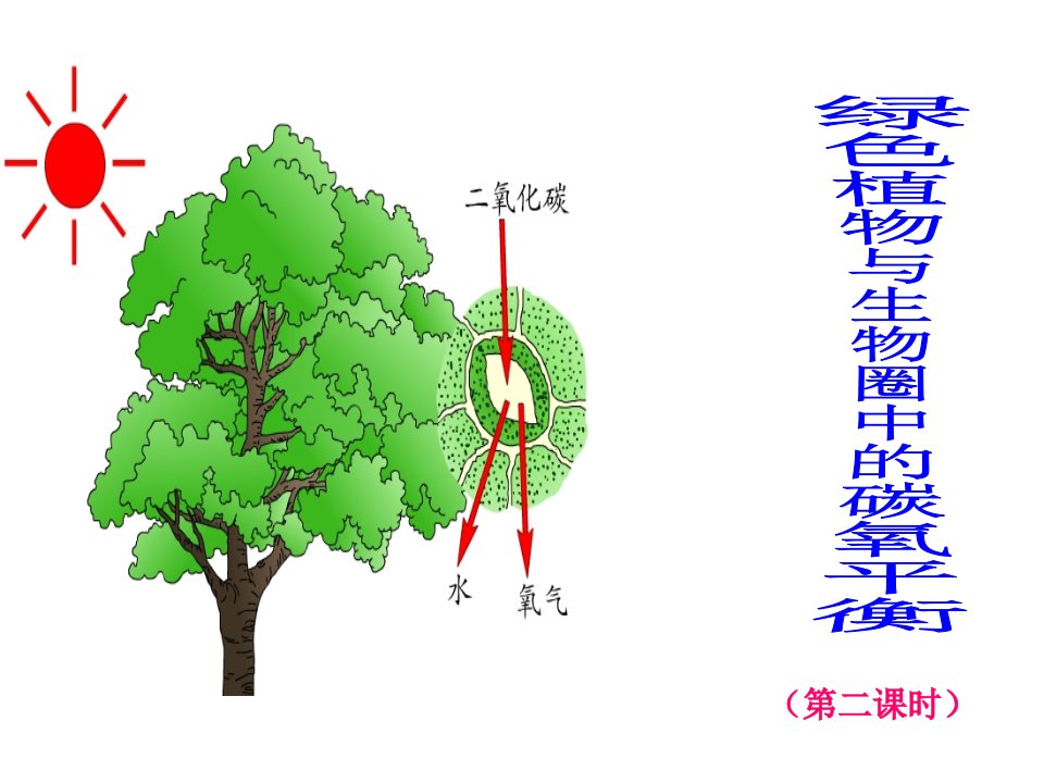 绿色植物与生物圈中的碳氧平衡课程标准解读