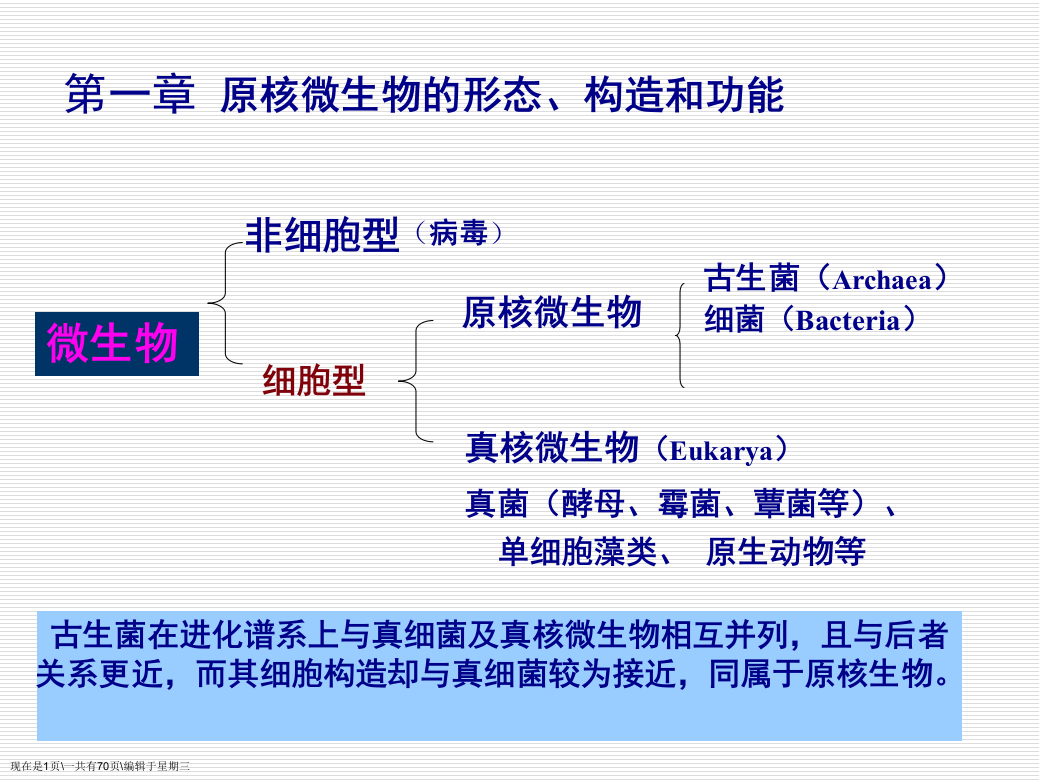 微生物的形态和结构