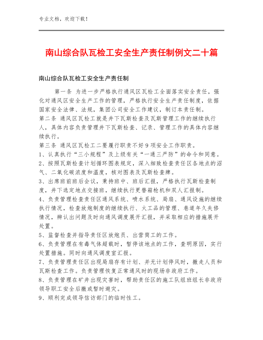 南山综合队瓦检工安全生产责任制例文二十篇