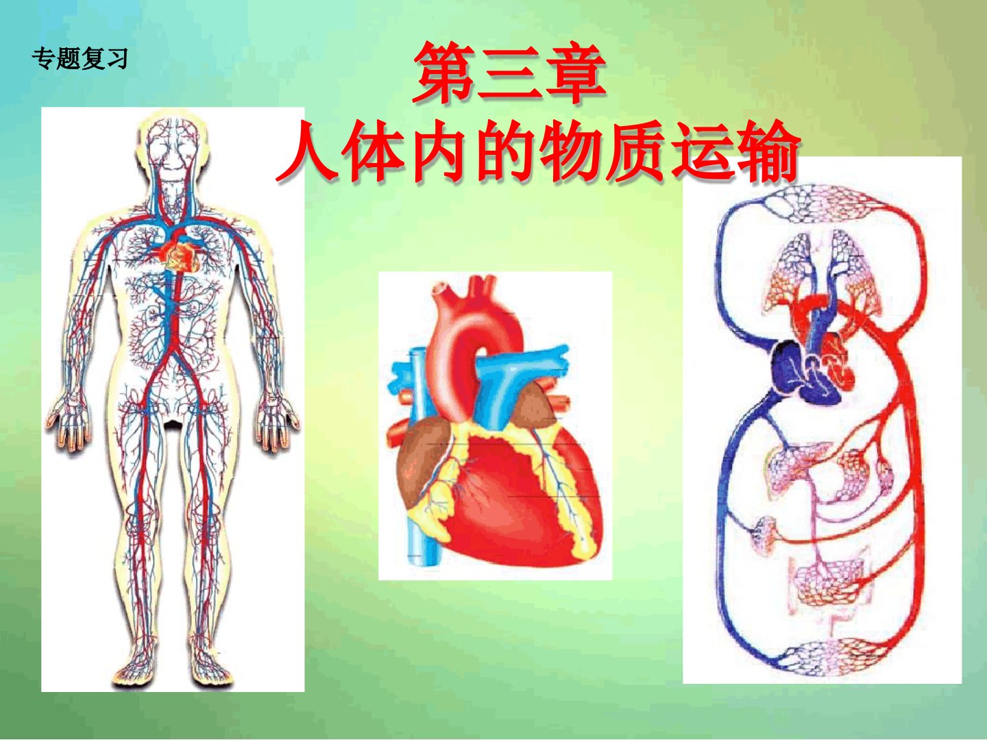 济南版生物七年级下册第三章人体内的物质运输复习ppt课件