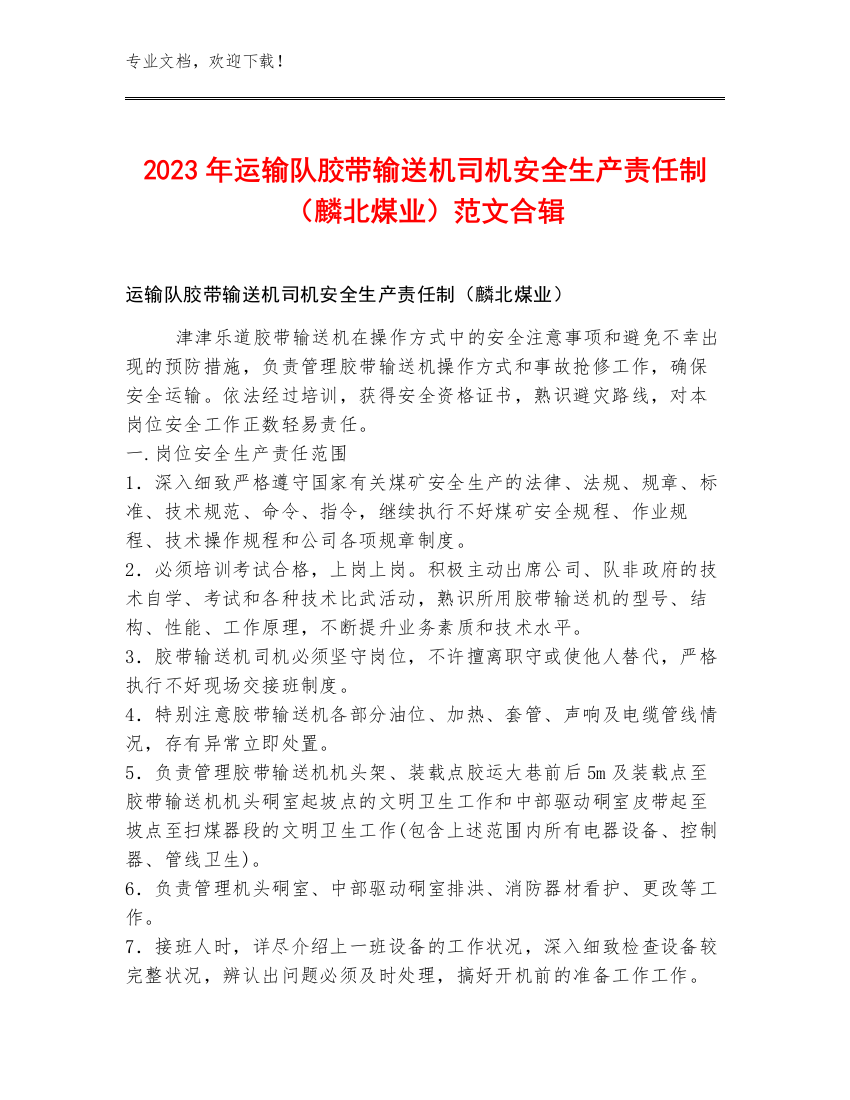 2023年运输队胶带输送机司机安全生产责任制（麟北煤业）范文合辑