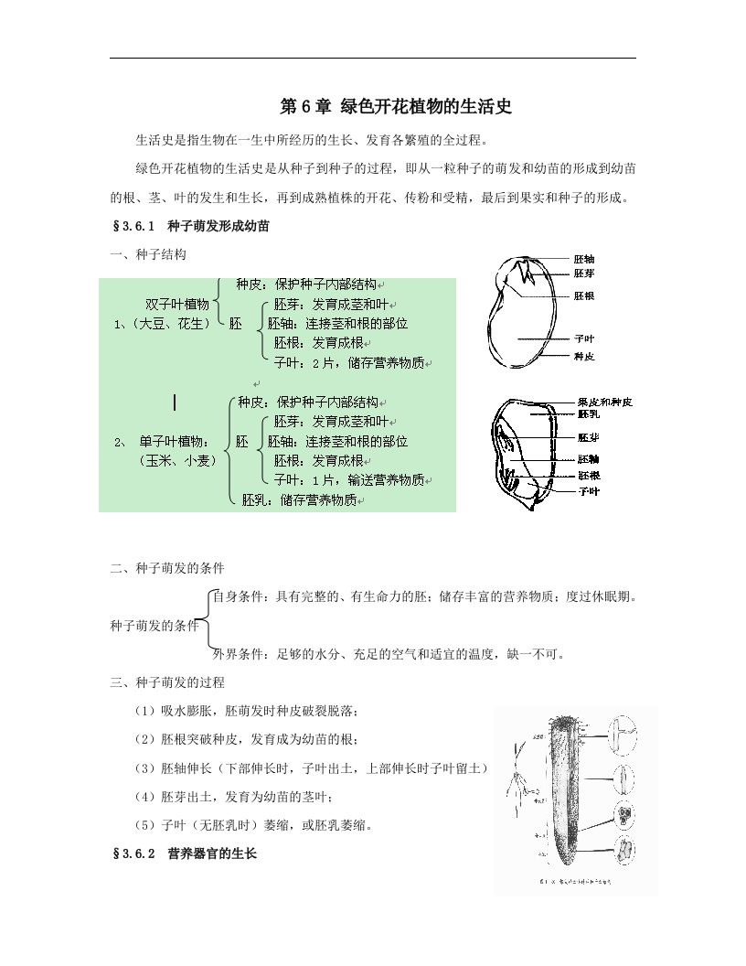 中考生物知识点总结：《绿色开花植物的生活史》（北师大版七年级上册）