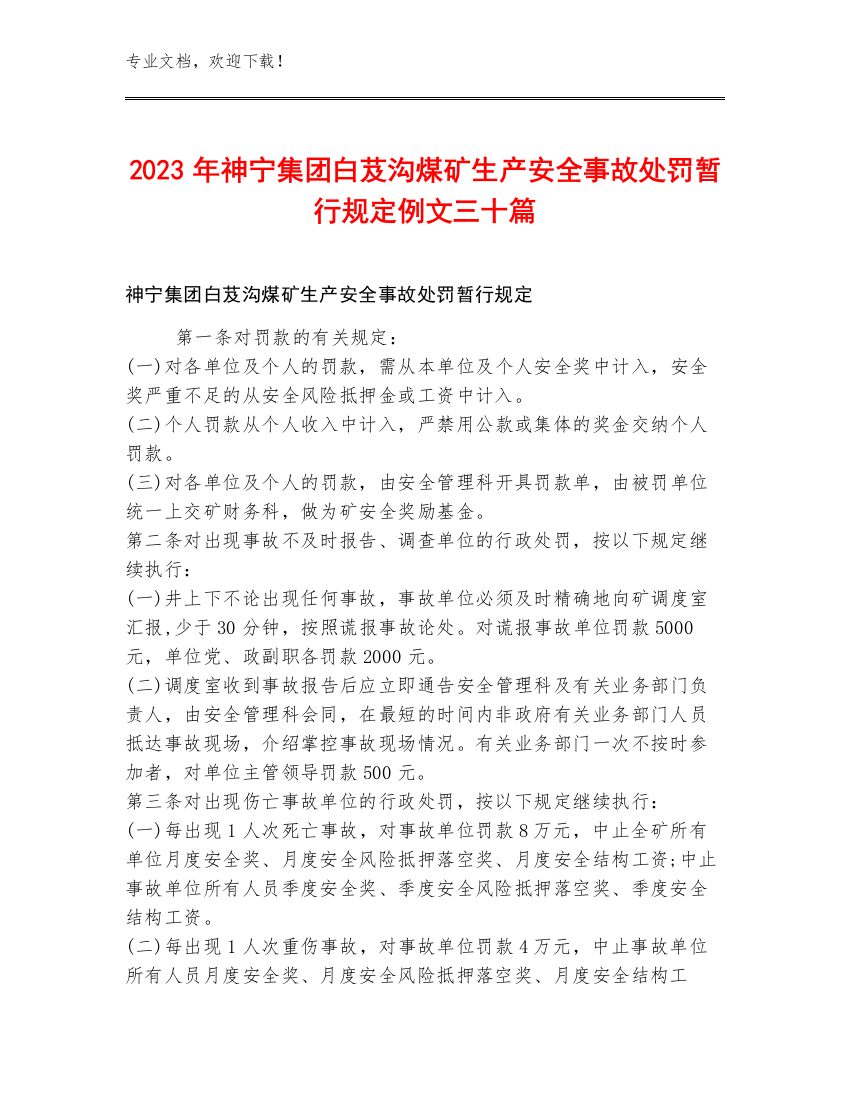 2023年神宁集团白芨沟煤矿生产安全事故处罚暂行规定例文三十篇