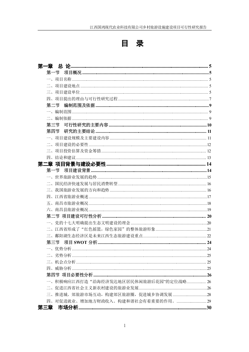 国鸿现代科技有限公司乡村旅游设施建设项目可行性研究报告