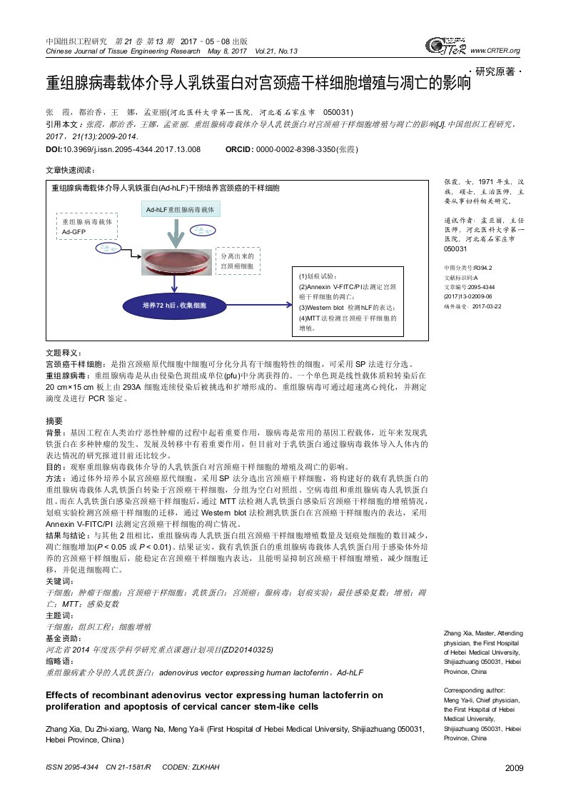 重组腺病毒载体介导人乳铁蛋白对宫颈癌干样细胞增殖与凋亡的影响