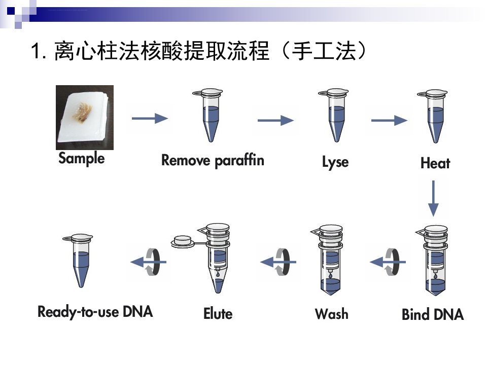 国内外核酸提取仪介绍CCppt课件