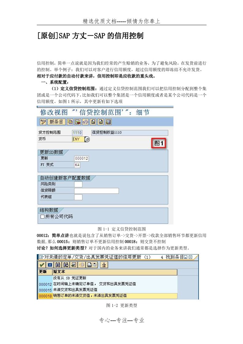 SAP的信用控制(共6页)