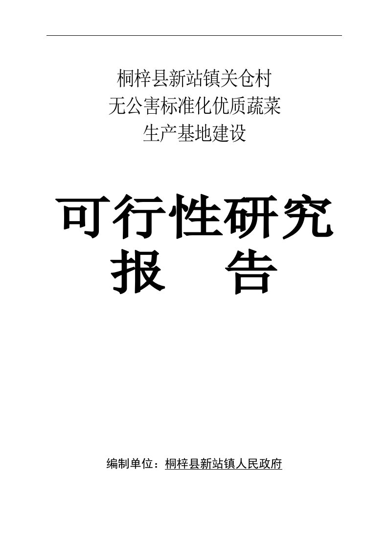 新站镇蔬菜产业可行性报告30060